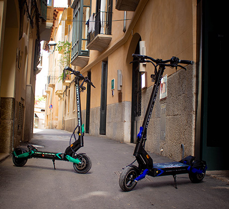 COMPRA MASSCITY BLADE